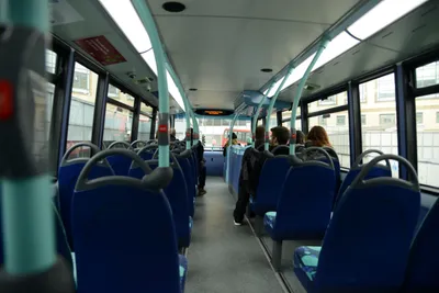 DSC_1358 (Large).JPG